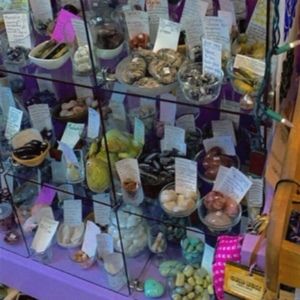 Meet your Posher, Josephine